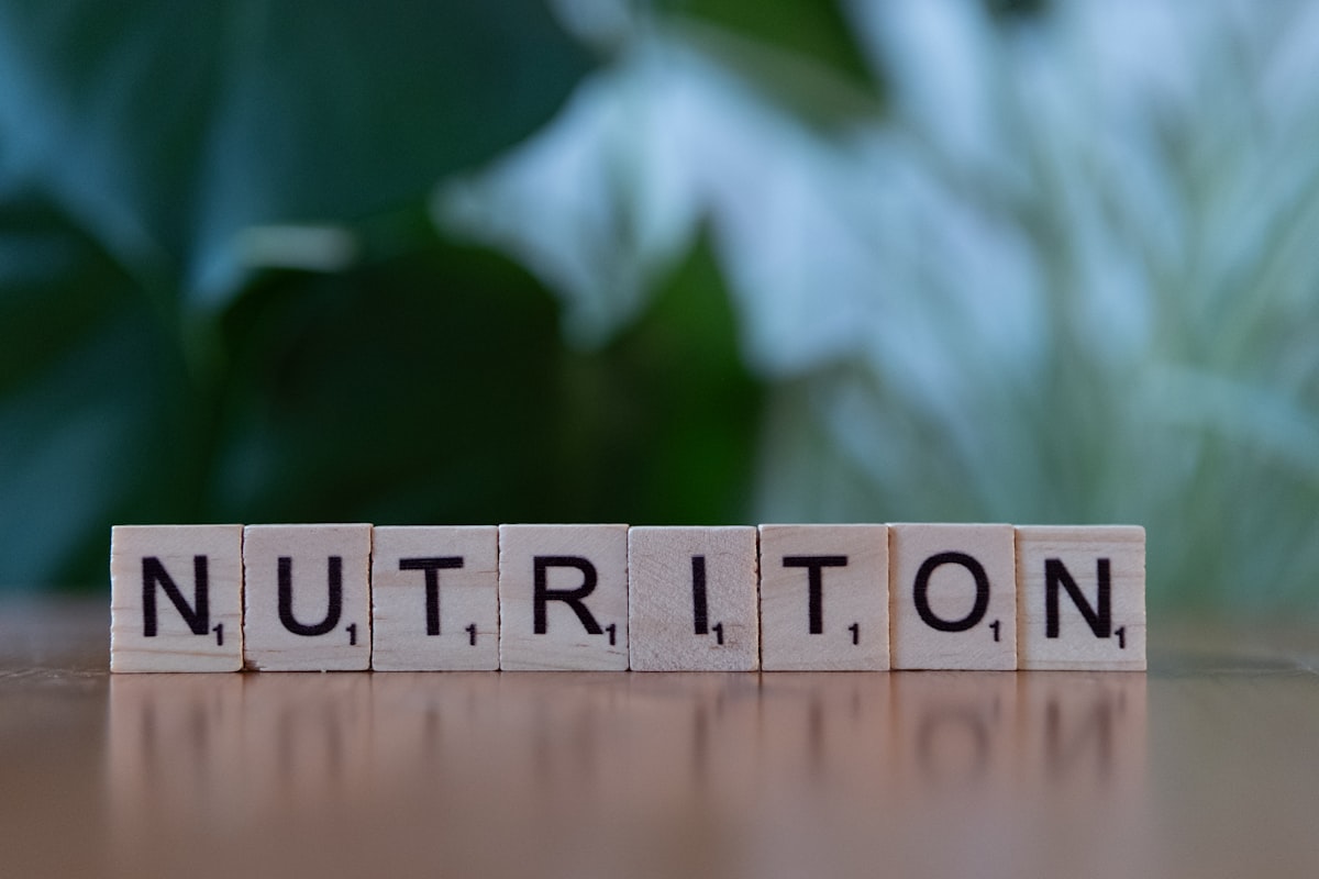 Energia diária: como otimizar sua nutrição para melhor desempenho